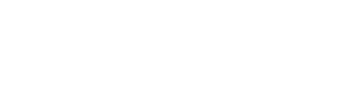 Mesoma Logo